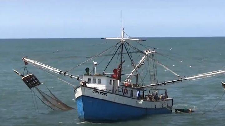 Comienza temporada de camarón 2025 en el Pacífico; 698 embarcaciones saldrán de Guaymas y Empalme