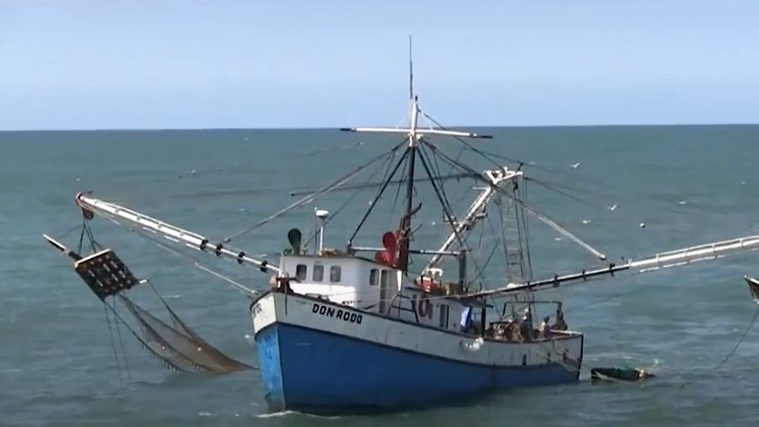 Comienza temporada de camarón 2025 en el Pacífico; 698 embarcaciones saldrán de Guaymas y Empalme