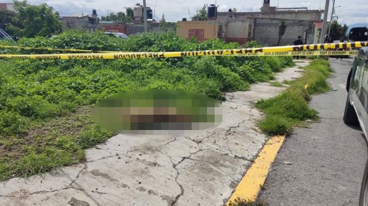 Tragedia en Chiapas: Envenenamiento masivo deja 60 perros muertos en comunidad indígena