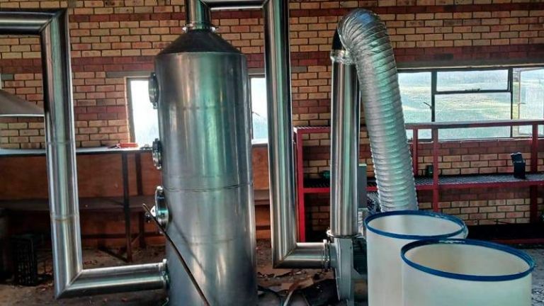 Los hechos ocurrieron el pasado viernes 19 de septiembre. Foto: Twitter