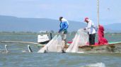 Foto ilustrativa de la nota titulada: Pescadores de Guaymas piden cambiar el reglamento de pesca para captura del camarón