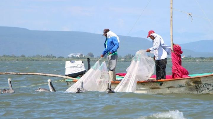 Pescadores de Guaymas piden cambiar el reglamento de pesca para captura del camarón
