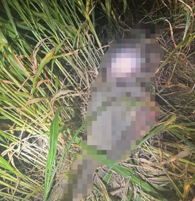 El lugar donde fue encontrado el hombre sin vida