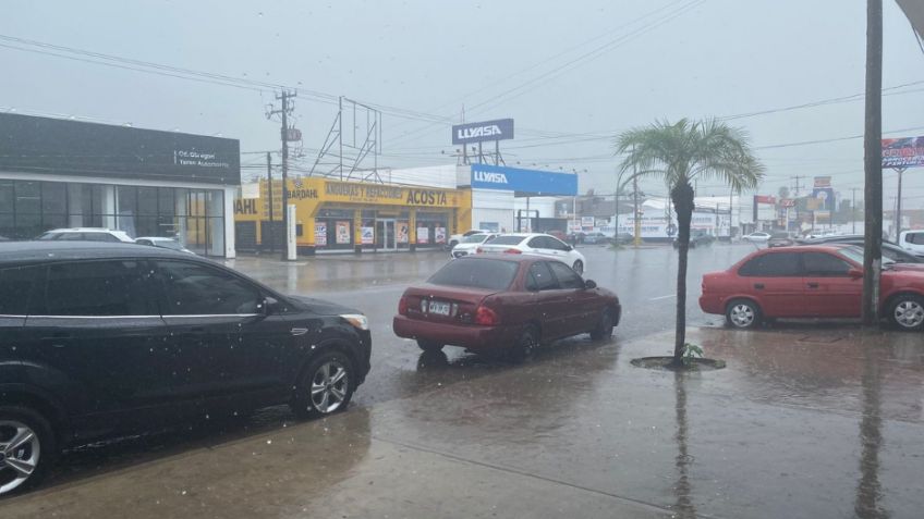 Clima en Sonora: ¿Continuarán las lluvias en Ciudad Obregón esta TARDE? A esta HORA se esperan TORMENTAS DISPERSAS