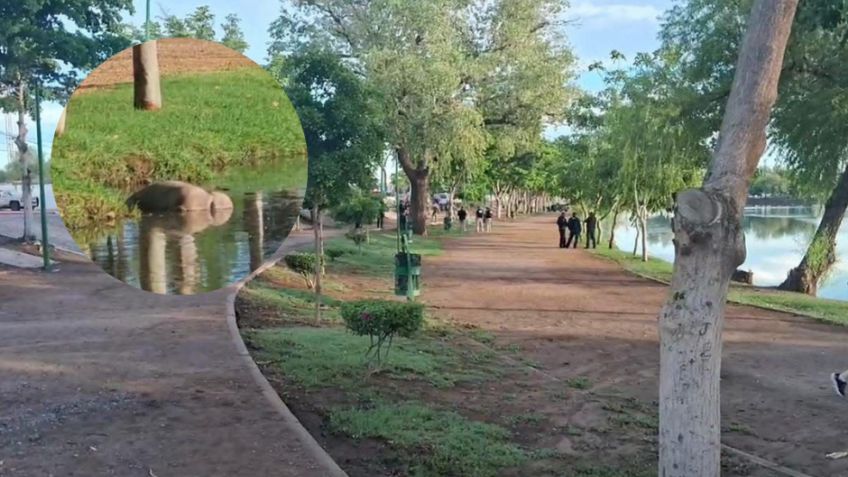 Tétrico domingo: Encuentran cadáver en las aguas de la Laguna del Náinari