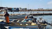 Foto ilustrativa de la nota titulada: Sonora: Pescadores de Guaymas y Empalme esperan fecha para temporada camaronera