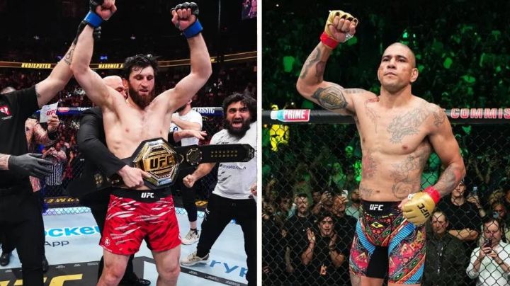 Ankalaev vs Pereira 2 EN VIVO: Cuándo, hora y en qué canal ver UFC 320 desde México