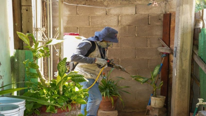Secretaría de Salud en Sonora intensifica acciones de control del dengue