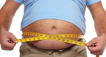 Asombroso: El estómago seria clave para ponerle fin a la obesidad de una vez por toda