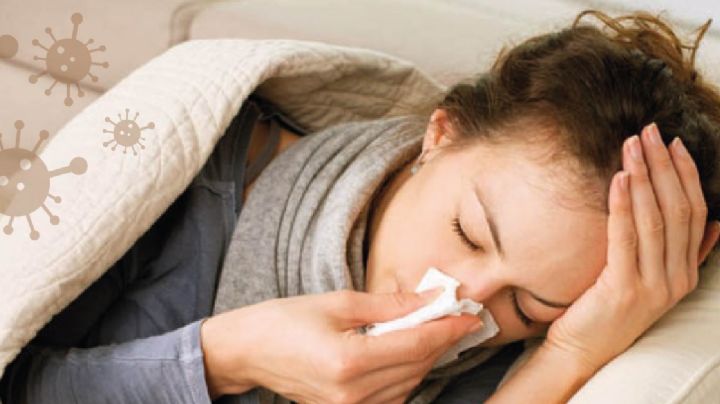 Tras reducción de casos de influenza, expertos creen que podría ser la próxima pandemia