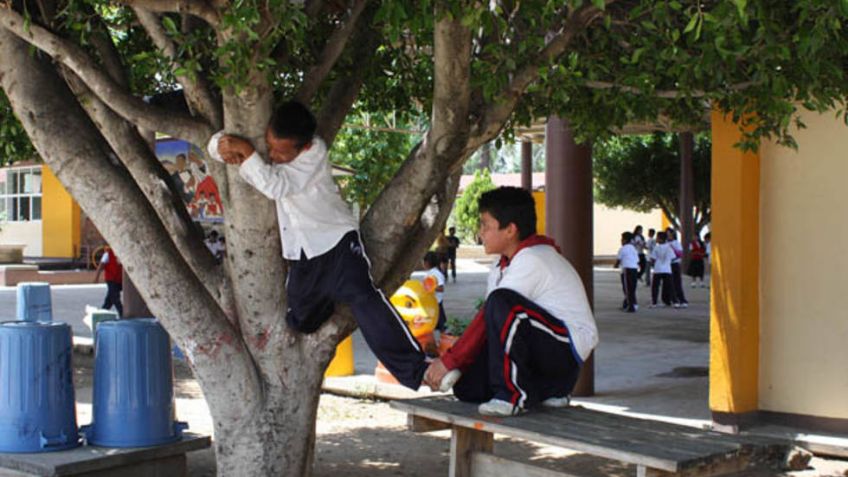 Escuelas de Navojoa deben capacitarse en primeros auxilios: Cruz Roja