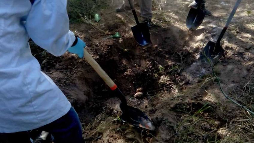 Madres Buscadoras de Sonora hallan restos óseos en 1 de 3 fosas localizadas