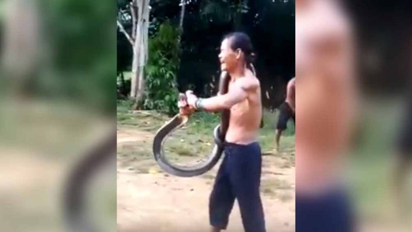 VIDEO: ¡Impactante! Encantador de serpientes muere tras ataque de cobra