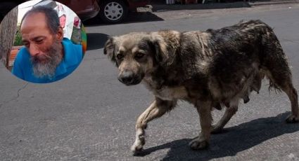 VIDEO: Don Luis llora la muerte de 17 de sus 25 perritos; le donaron comida envenenada