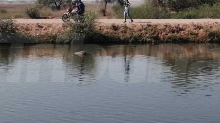 Macabro hallazgo en Cajeme: Flota el cuerpo sin vida de una persona en el Canal Alto