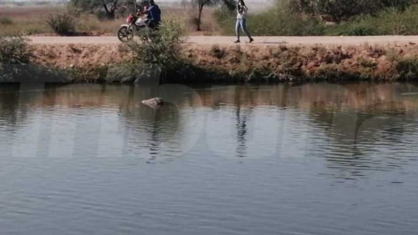 Macabro hallazgo en Cajeme: Flota el cuerpo sin vida de una persona en el Canal Alto