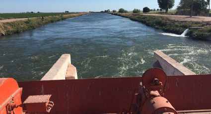 Problema de Oomapas, compromete riego de cultivos en el Valle del Yaqui