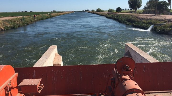 Problema de Oomapas, compromete riego de cultivos en el Valle del Yaqui
