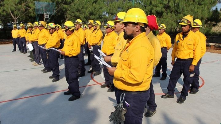 Conafor reporta más de 11 mil hectáreas afectadas por incendios
