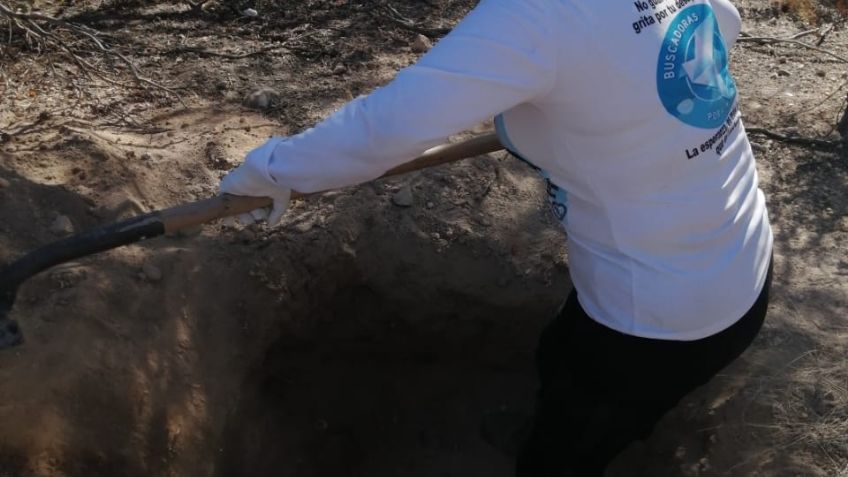 Buscadoras por la Paz ubican nuevas osamentas al sur de Hermosillo