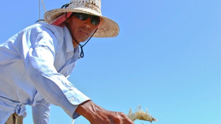Acuacultores del Ejido Remanentes renovarán equipos de bombeo