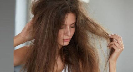 La mejor mascarilla casera para regresar tu cabello a la vida luego de la decoloración