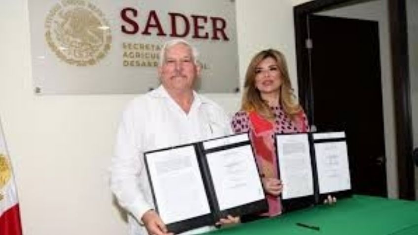 Sader en Cajeme es una promesa de campaña de AMLO sin aterrizar en dos años
