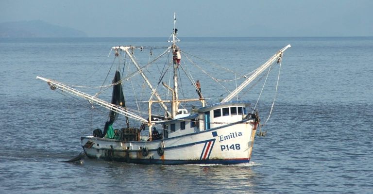 Alerta en Sonora por ataque de Tiburón al sur del estado
