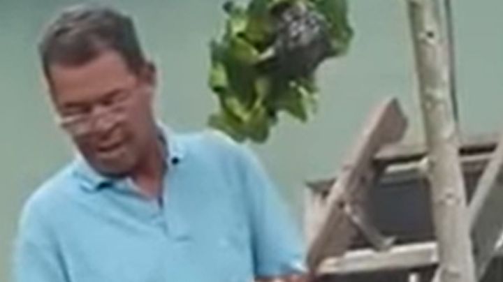 VIDEO: Hombre se hace viral tras intentar capturar un nido de avispas con una bolsa