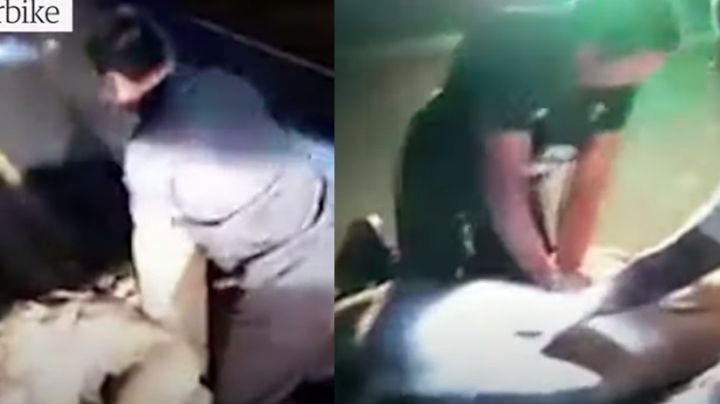 Rescatista enternece a todo Internet al lograr reanimar a elefante bebé tras ser atropellado