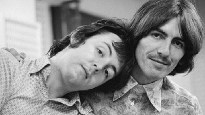 Paul McCartney asegura que habla con el espíritu de George Harrison a través de un árbol