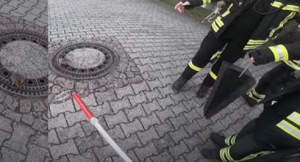 VIDEO: Bomberos rescatan a una gran rata atorada en una coladera en Alemania