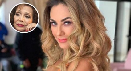 Aracely Arámbula será la encargada de protagonizar la bioserie de María Victoria