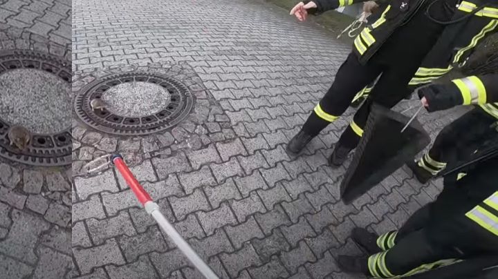 VIDEO: Bomberos rescatan a una gran rata atorada en una coladera en Alemania