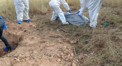 También en Nogales: Buscadoras encuentran dos cuerpos en La Mesa