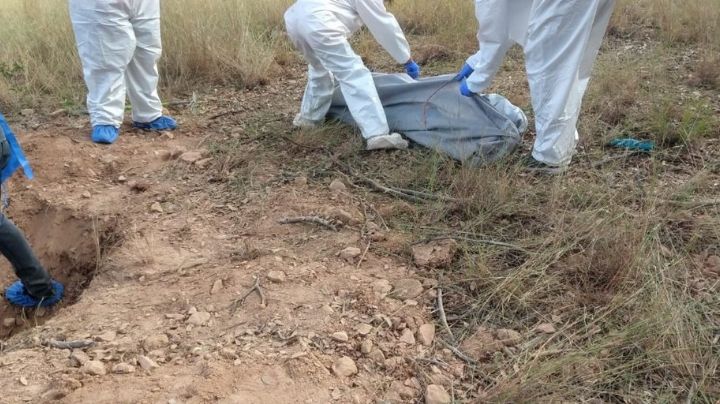 También en Nogales: Buscadoras encuentran dos cuerpos en La Mesa
