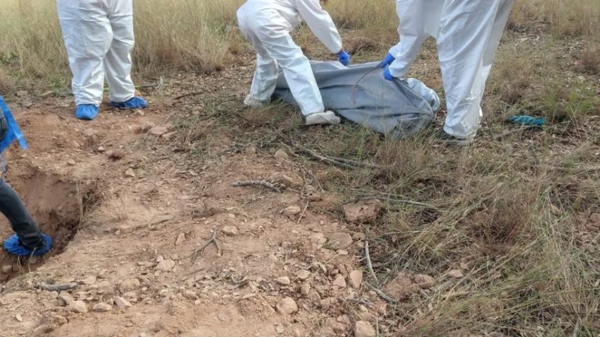 También en Nogales: Buscadoras encuentran dos cuerpos en La Mesa