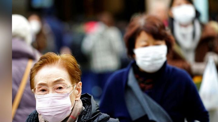 Alerta por Nipah, el nuevo virus que podría amenazar al mundo con una nueva pandemia