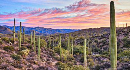 ¡Toma nota! Este es el pronóstico del clima en Sonora para hoy, viernes 14 de mayo