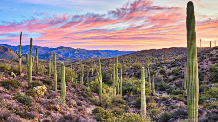 ¡Toma nota! Este es el pronóstico del clima en Sonora para hoy, viernes 14 de mayo