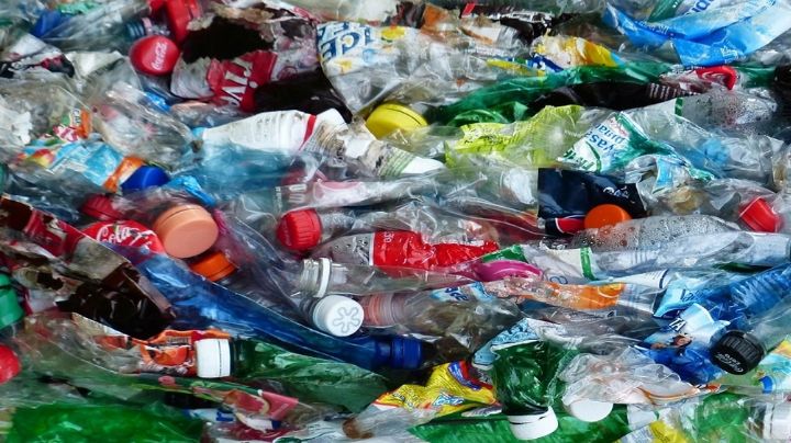 Científicos descubren nueva enzima para deshacer el plástico PET
