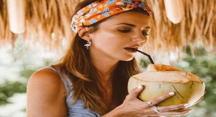 ¿Consume cocos? Estos son los fabulosos beneficios de consumirlo