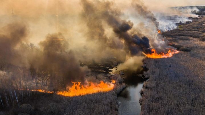 Alerta: Incendio en Chernóbil pondría en riesgo a depósitos de residuos radiactivos