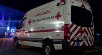 Comando armado ejecuta a familia en León; les dieron el tiro de gracia