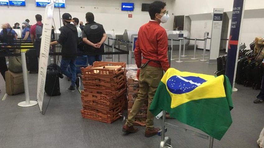 En Brasil, han sido detectados los dos primeros casos de la cepa británica del coronavirus