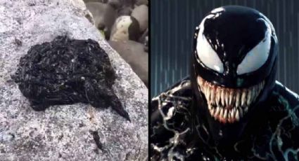 Extraña criatura parecida al simbionte de Venom causa terror en redes sociales