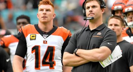 Los Cincinnati Bengals dejan de contar con los servicios de Andy Dalton