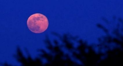 Usuarios comparten cómo se vivió la Luna Rosa alrededor del mundo