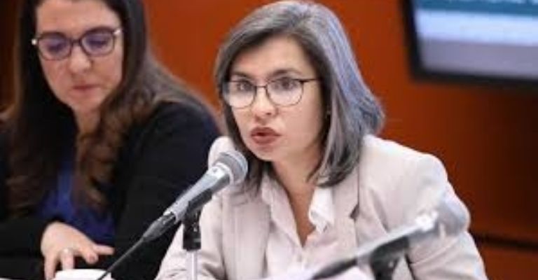 Wendy Briceño Zuloaga, diputada federal presidenta de la Comisión de Igualdad de Género. Foto: Internet