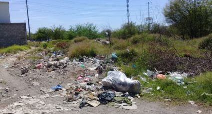 Vecinos de Villas del Cortes, en Hermosillo, se quejan de basurero cerca de sus hogares